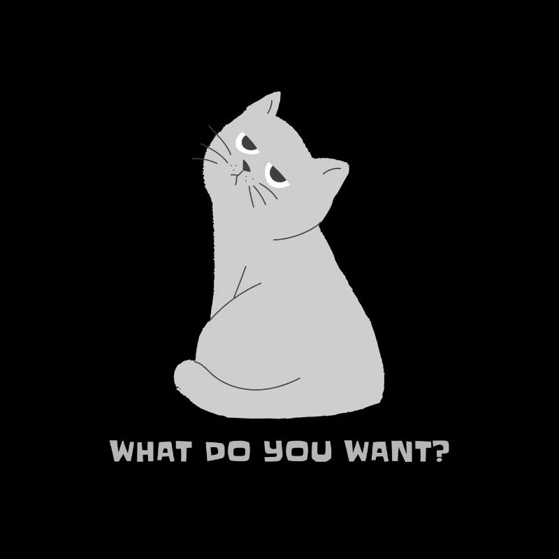 Chat sérieux drôle que voulez-vous Chat drôle