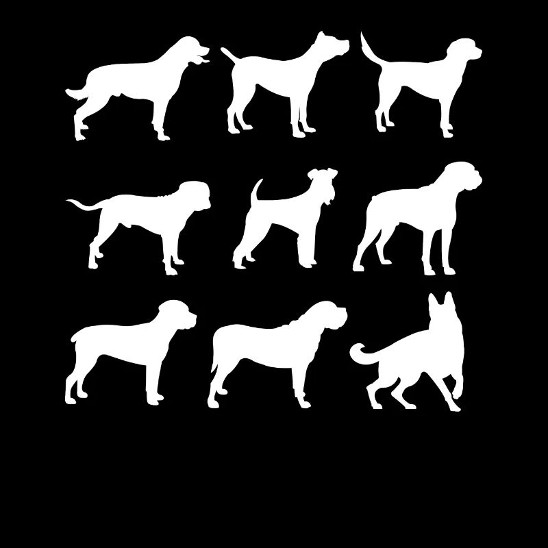 Hund Hunderasse Hunderassen Hundeliebhaber