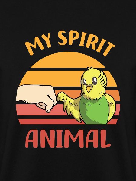 Budgerigar