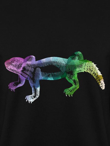 Leguan Reptil Echse