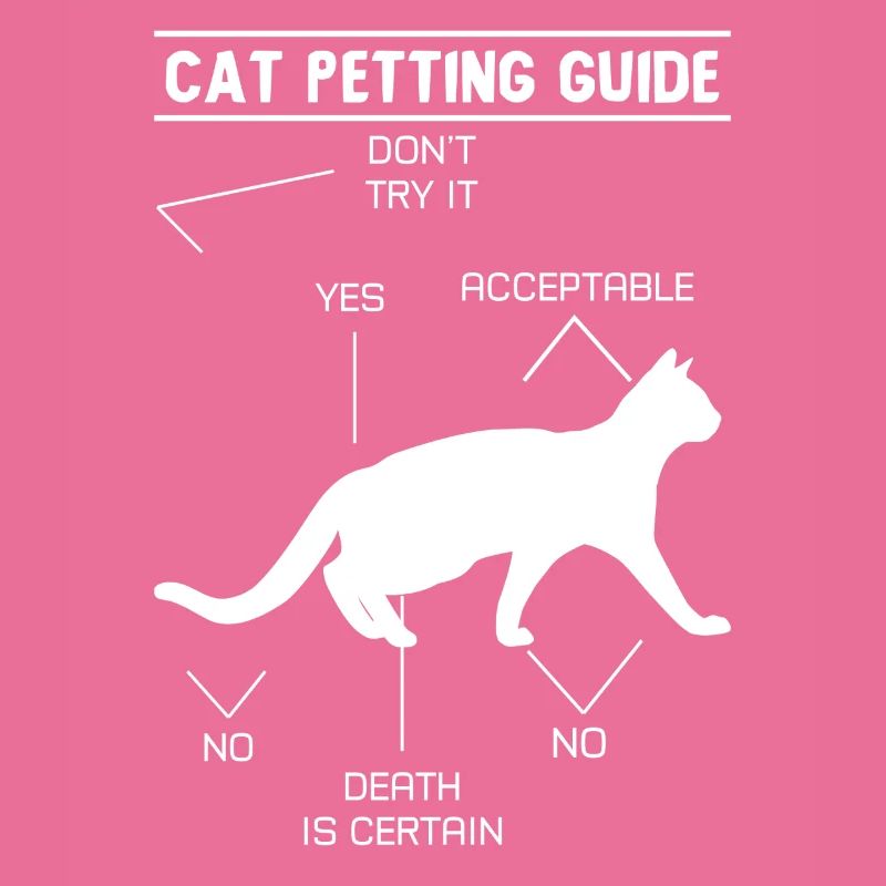 Guide de caresses pour chat