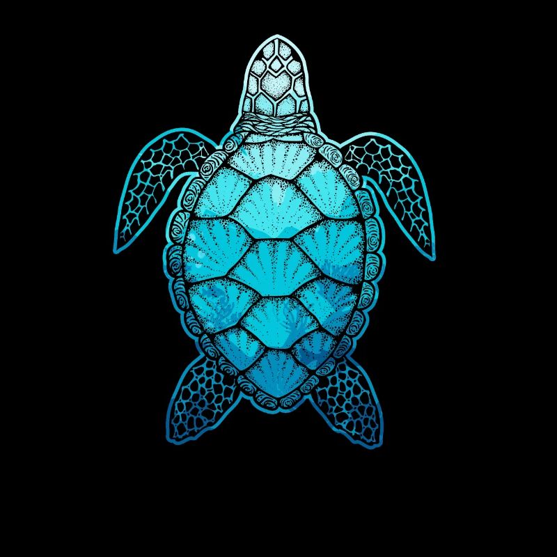 Turtle sea turtle animal underwater