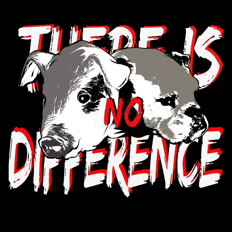 Pig dog no difference
