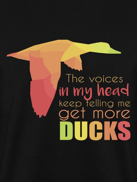 Canard