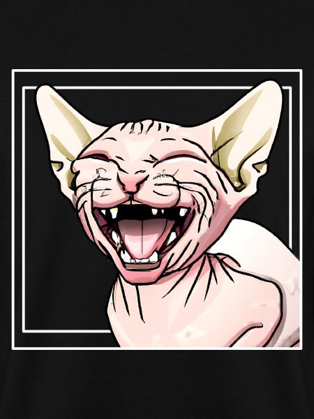 Sphynx cat laughs