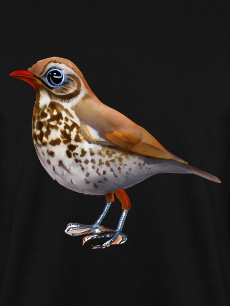 Thrush bird