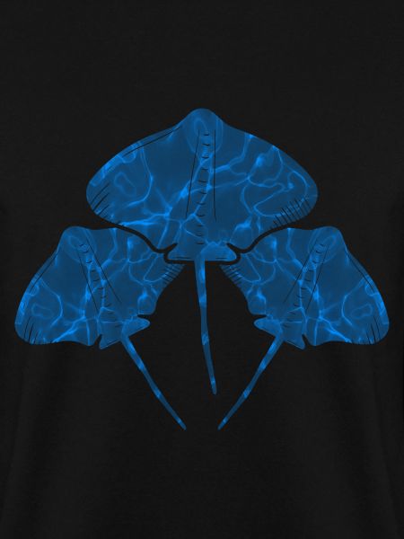 Mantarochen Aquarium Mantarochen Liebhaber