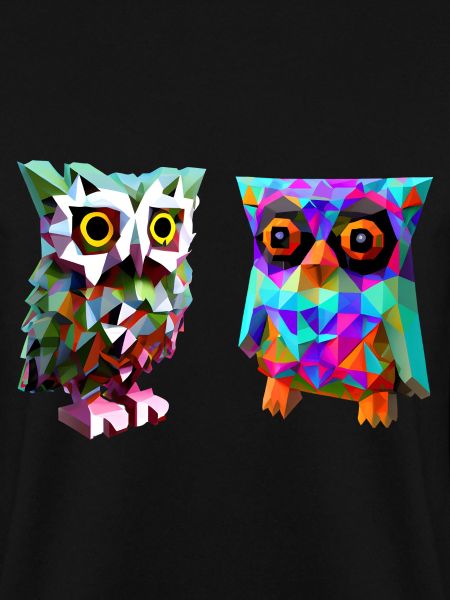 Hiboux polygonaux