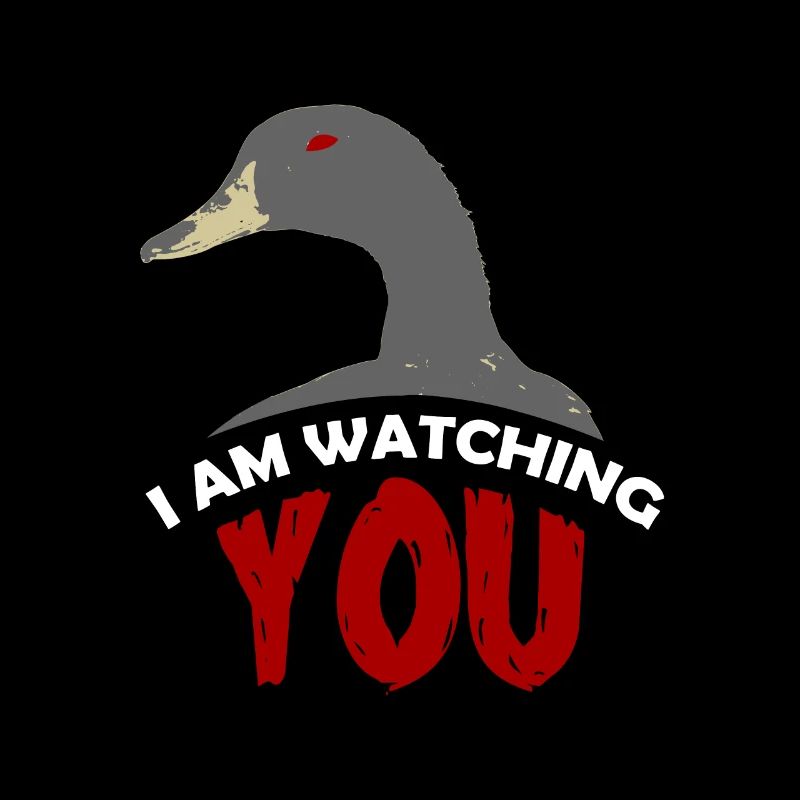 Anatidaeophobia peur des canards je te regarde