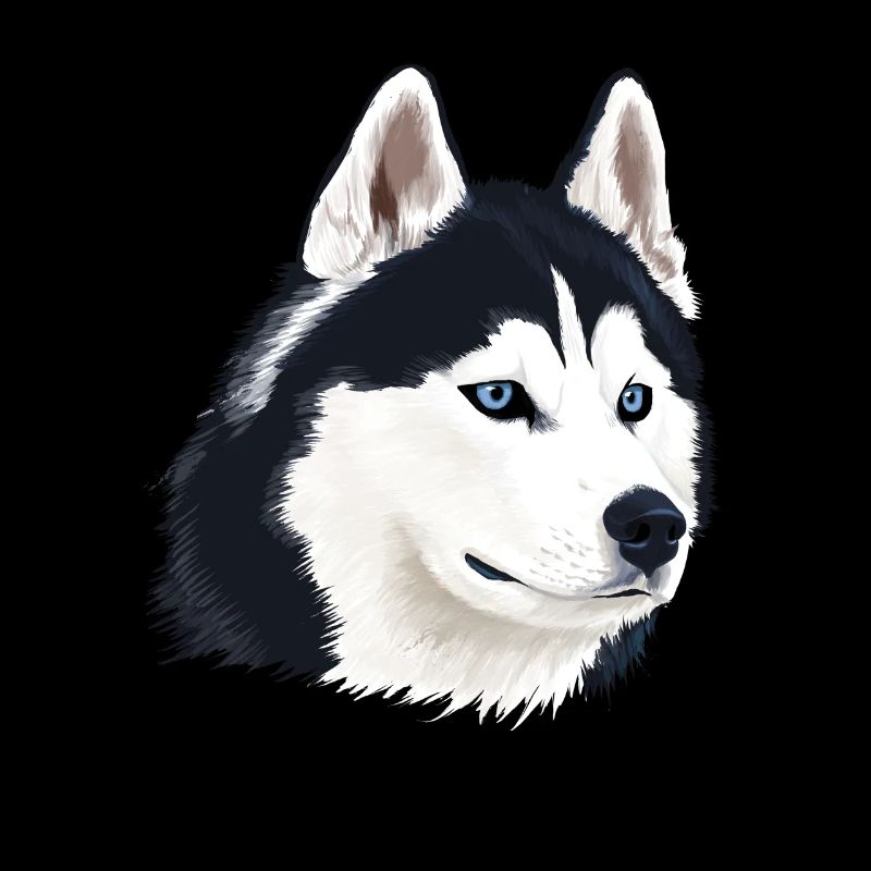Husky Dog