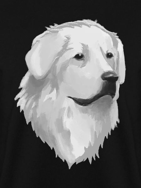 Great Pyrenees Dog