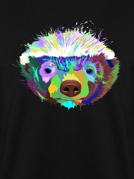 Splash Dachs