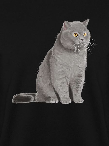 Britisch Kurzhaar Katze