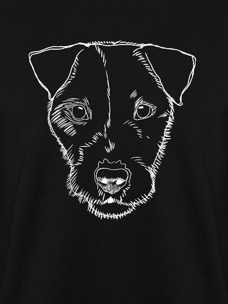 Parson Russel Terrier Dog