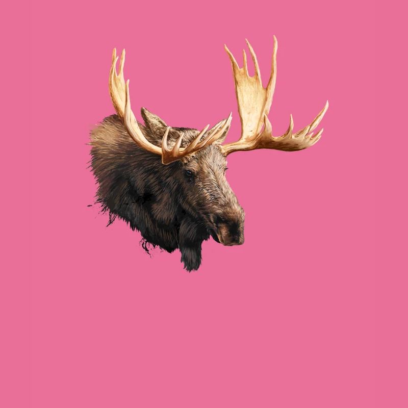 Moose Splatter