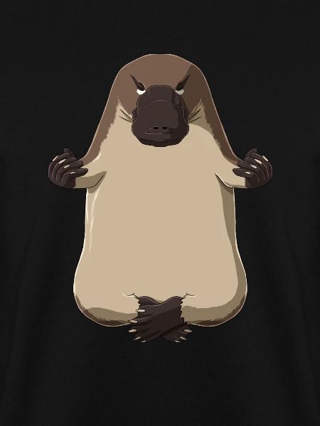 Platypus Meditate