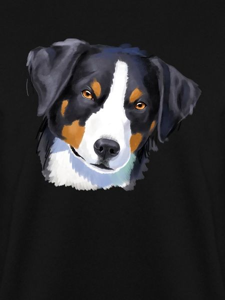 Appenzell Mountain Dog