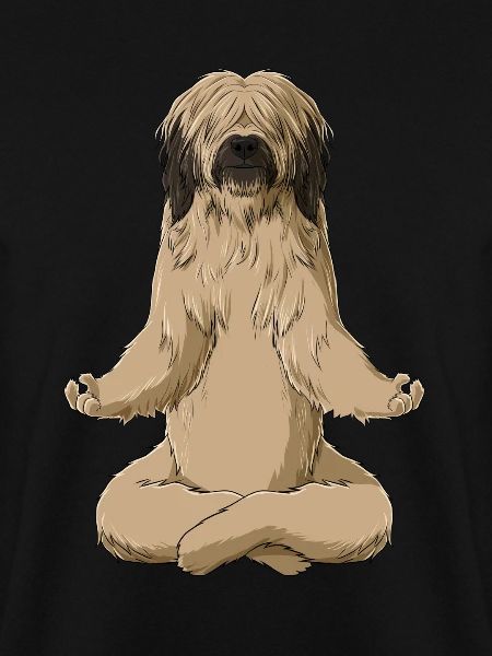 Meditierender Briard Hund