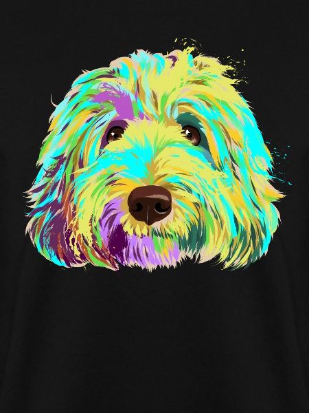 Splash Labradoodle Dog