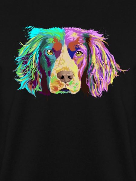 Splash Brittany Spaniel Dog