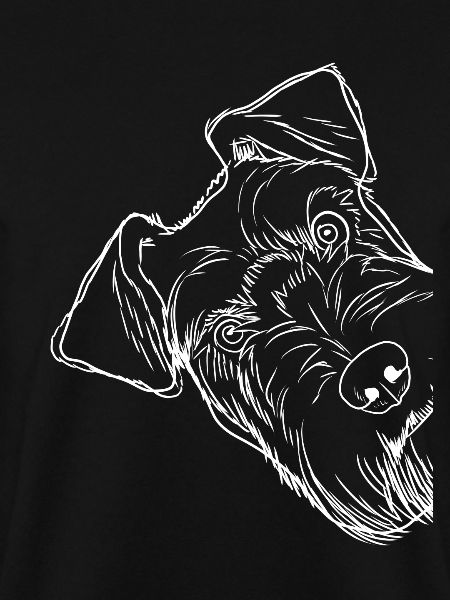 Neugieriger Schnauzer Hund