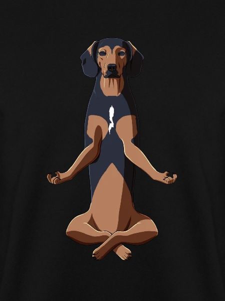 Meditierender Tiroler Bracke Hund