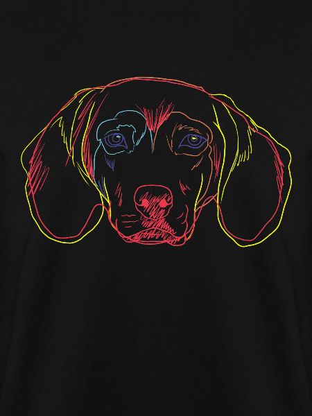Bunter Tiroler Bracke Hund