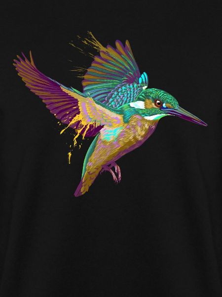 Splash Eisvogel