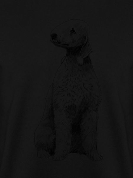 Sitzinder Hund Bedlington Terrier