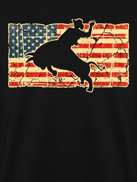 Rodeo Texas