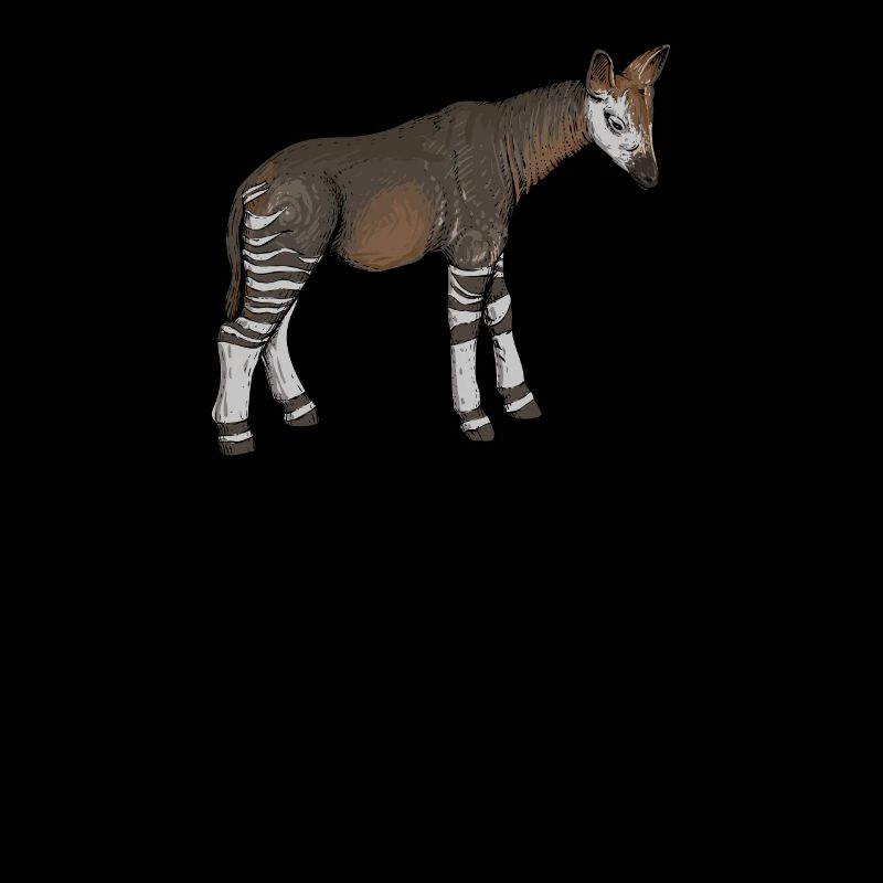 Okapi I forest giraffe from the rainforest for