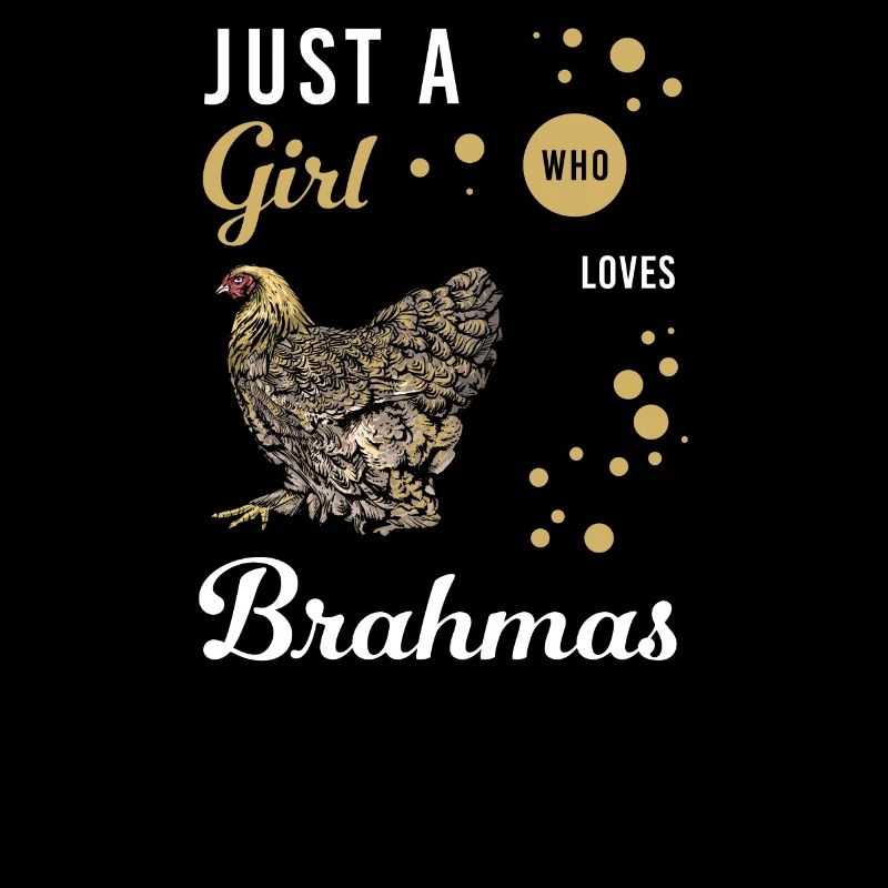 Brahma Chicken I Chicken Poultry Motif pour