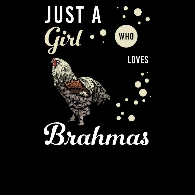 Brahma Chicken I Chicken Poultry Motif pour