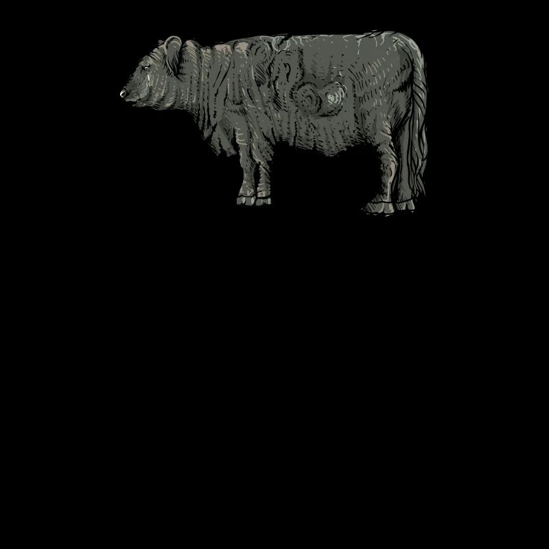 Galloway cattle I Scotland cattle breeding for