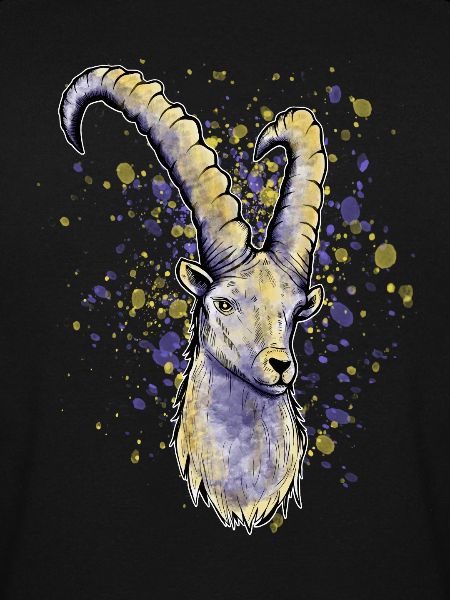 Steinbock Astrologie