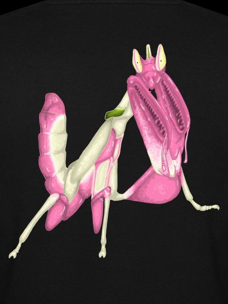 Orchid Mantis