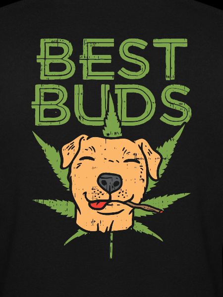 Best Buddy - Pitbull Shirt