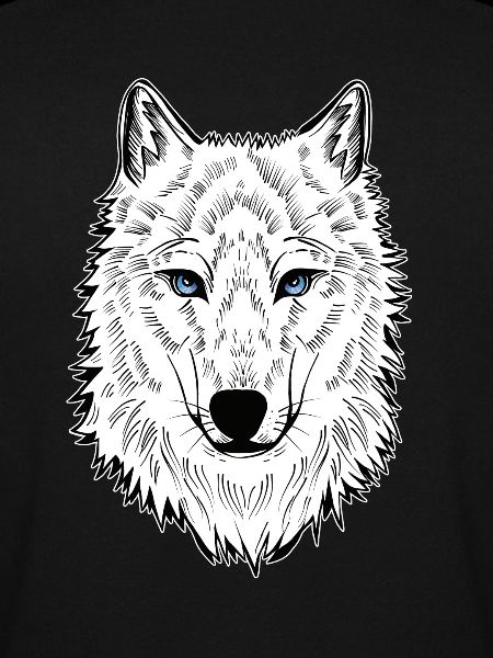 Polarwolf Wolf Blaue Augen
