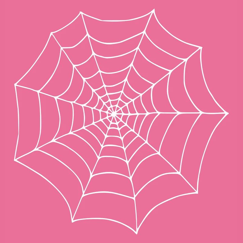 Spinnennetz