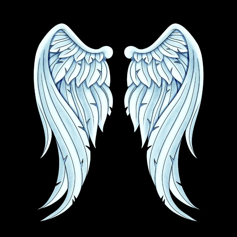 Angelwings drôle idée cadeau Ailes d’ange