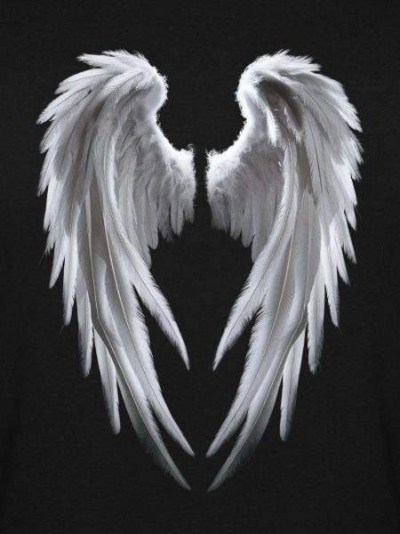 Angel Wings in white