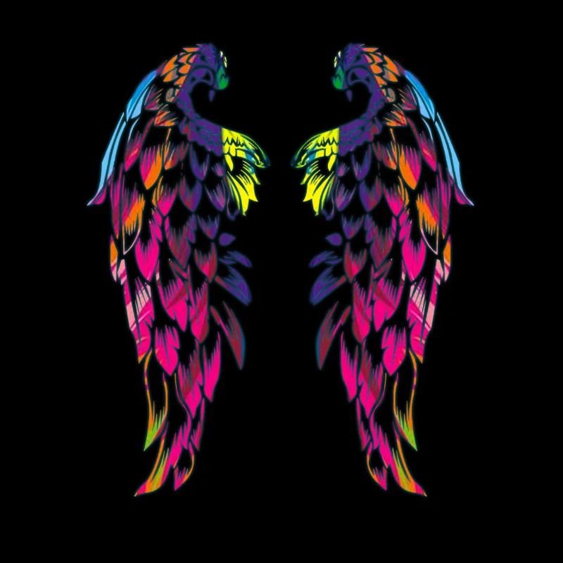 des ailes couleur