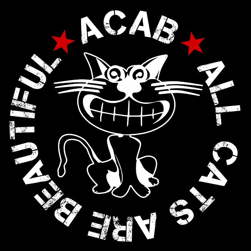 all cats are beautiful