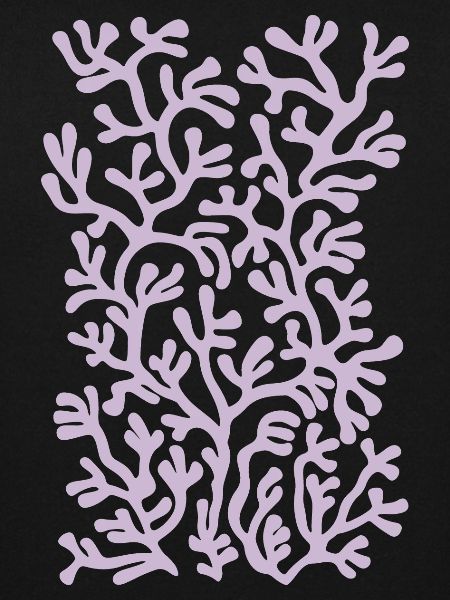 coral.