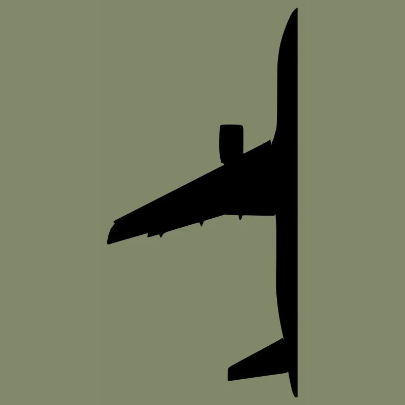 halber Airliner
