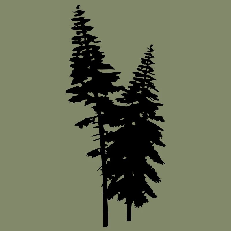 conifers