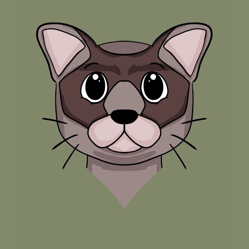 Burma Katze