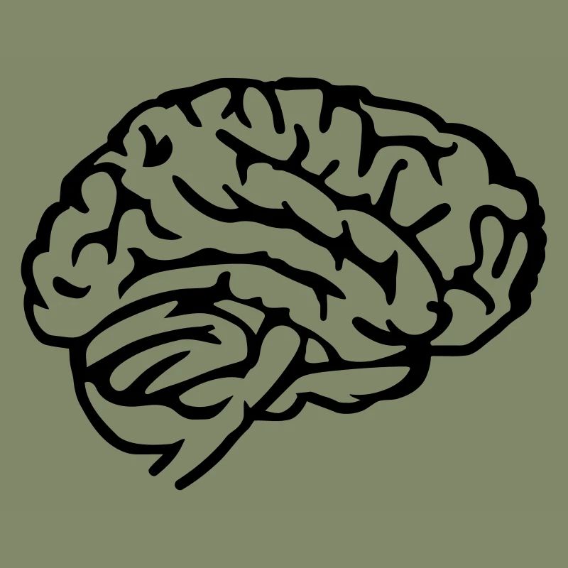 Brain