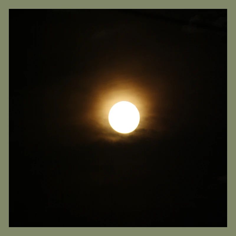 Mond