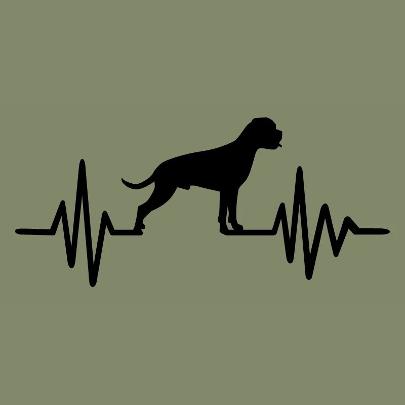 Boxer